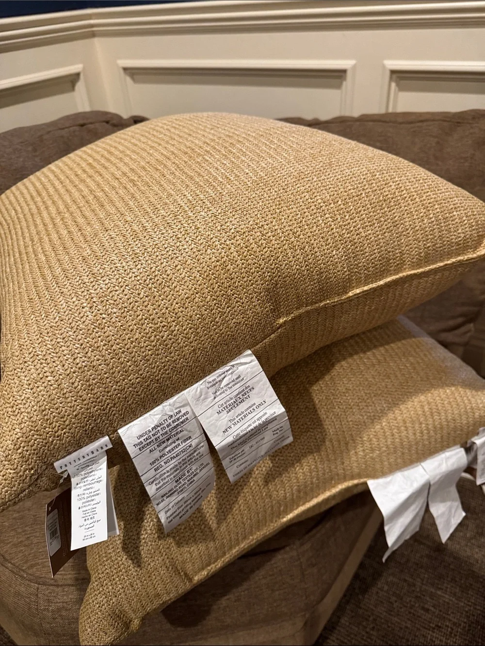 NWT POTTERY BARN Natural Fiber Pillows
